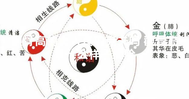 颧骨高的女人真的克夫吗 颧骨高是什么样子的脸